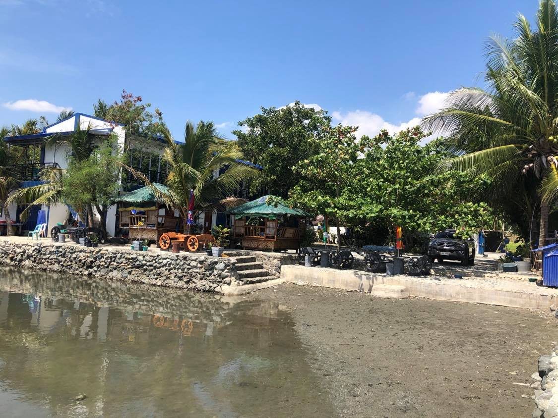 The shore
