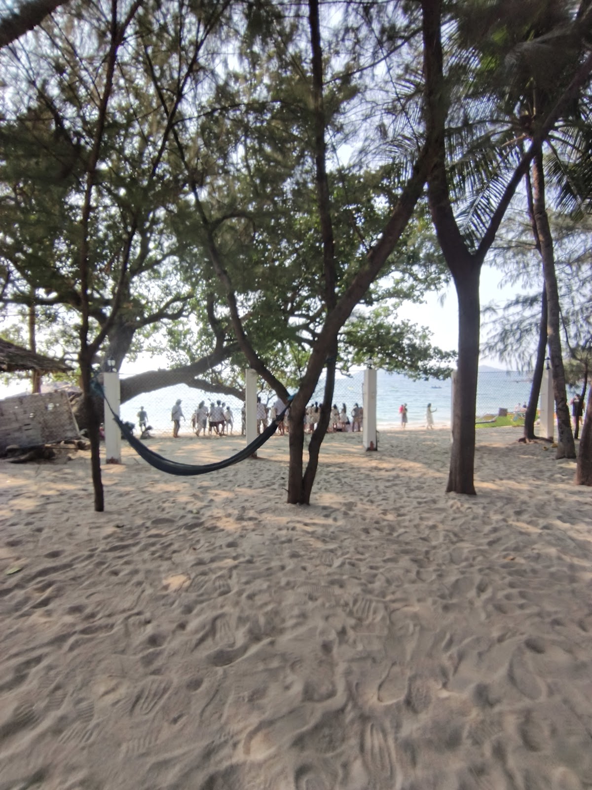 Hammocks in the shade